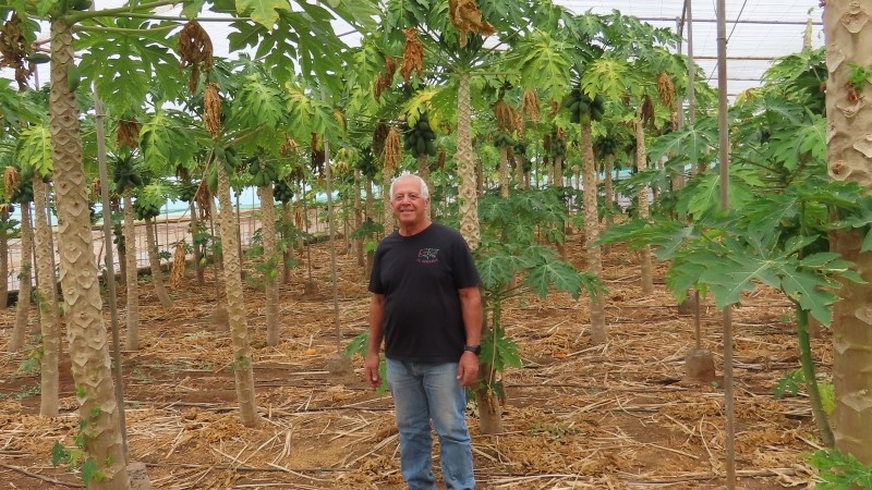 Franciscos finca � det �gte og autentiske Tenerife (inkl. frokost)
